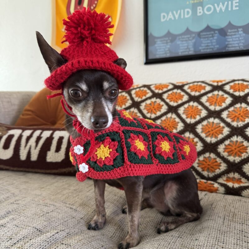 Crochet Beanie