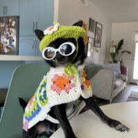 Crochet Beret For Pets - Hand Made | Boot Scootin' Crochet