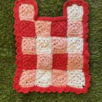 Picnic Jacket - Strawberry