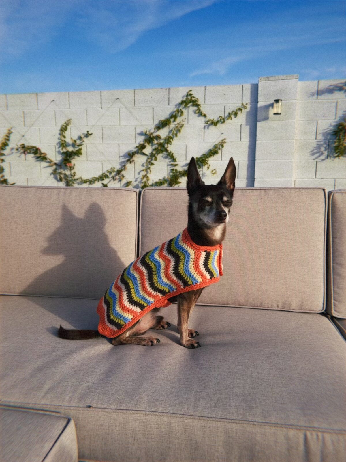 wiggle-jacket-photos-1