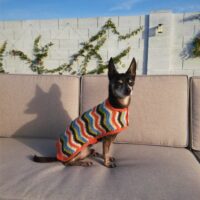 wiggle-jacket-photos-1