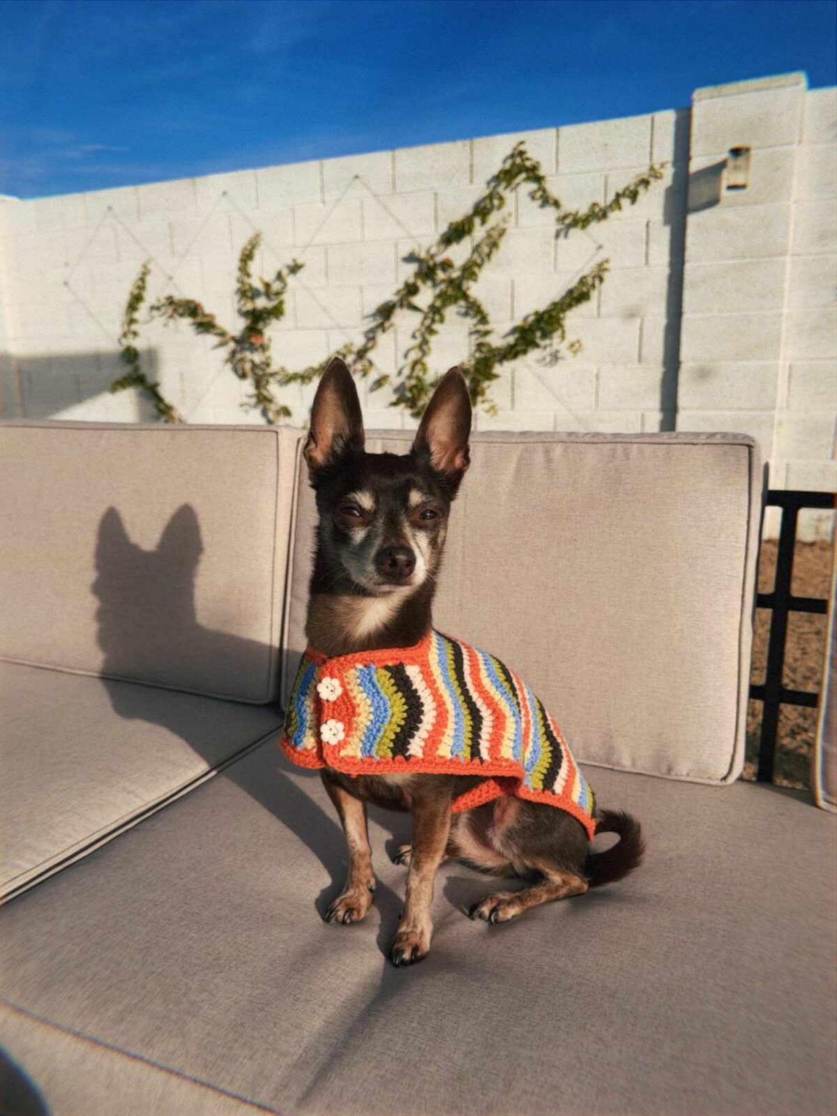 wiggle-jacket-photos-2