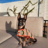 wiggle-jacket-photos-2