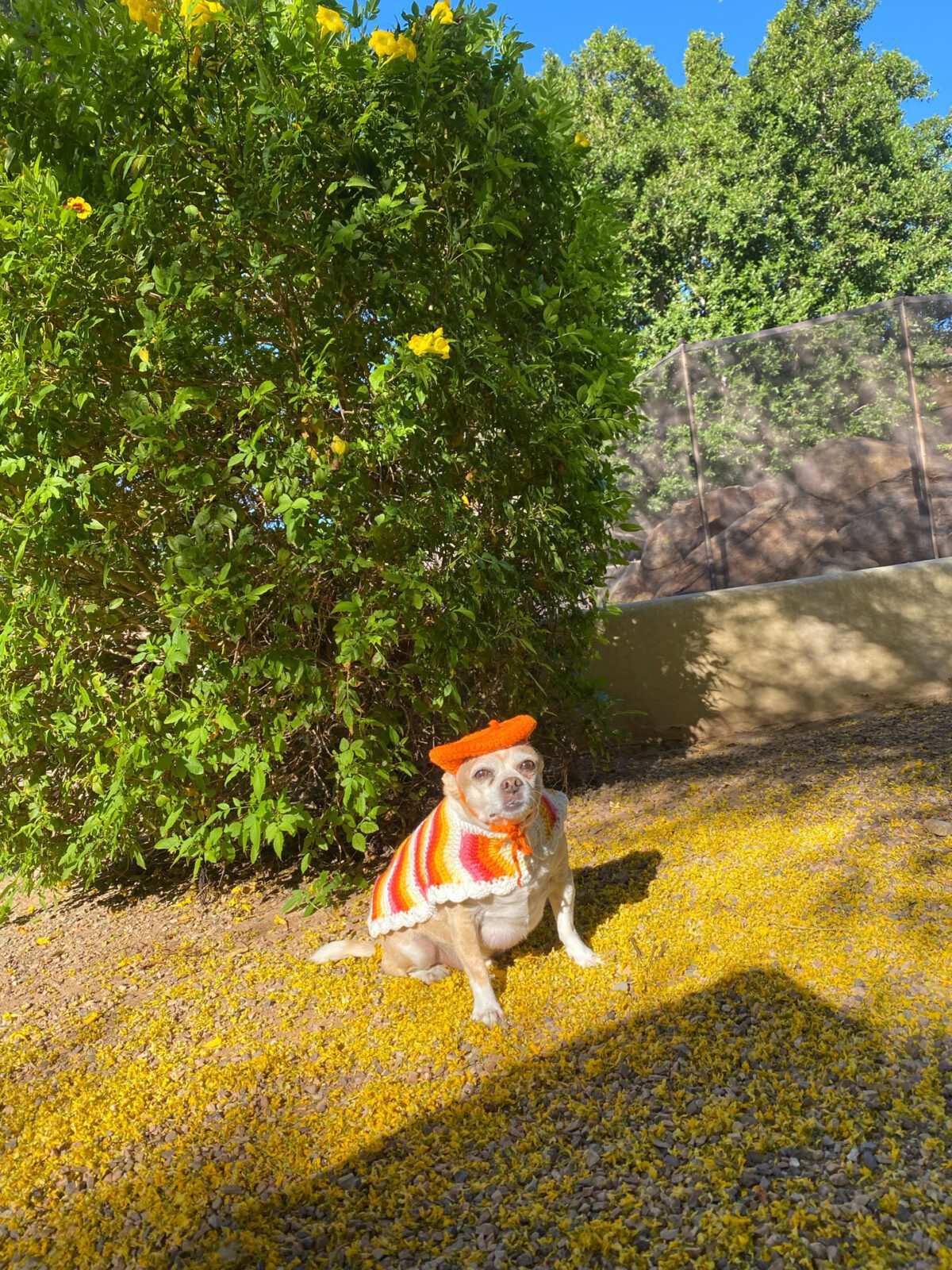 wiggle-jacket-photos-4