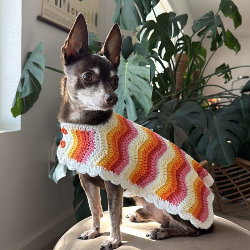 Wiggle Jacket