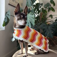 wiggle-jacket-primary